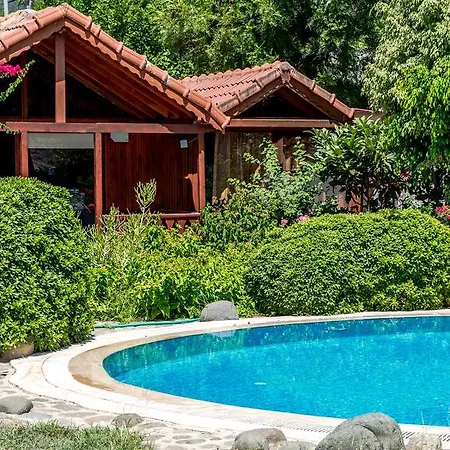 Palmetto Selimiye 2*
